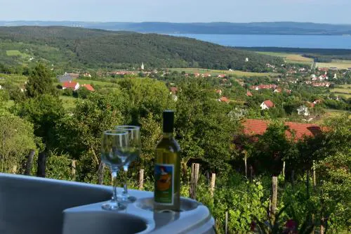 Panoráma Borbirtok