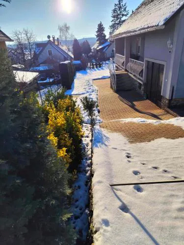 Erika Apartman
