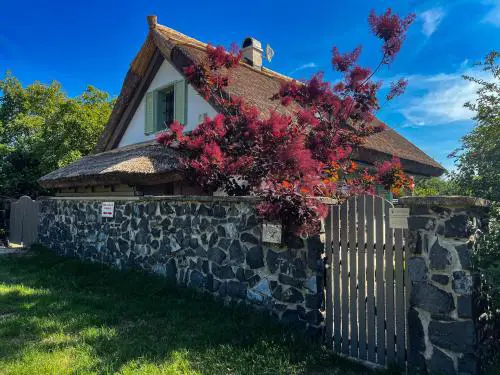 Zanzara Guesthouse