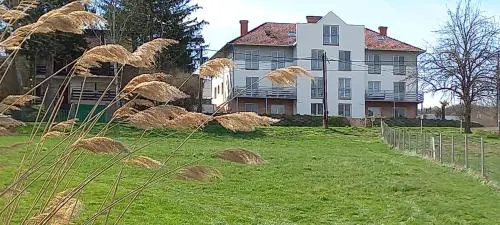 Onix-Vital Apartman Orfű