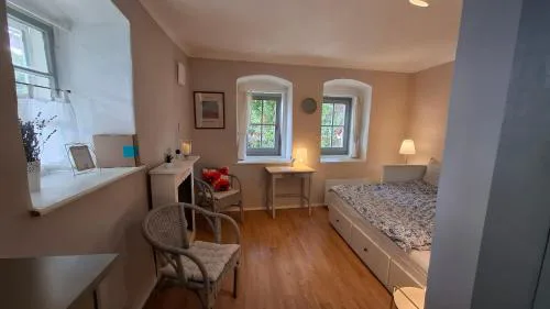 Teljesen felszerelt kis ház, saját udvarral :) - Notre petite maison