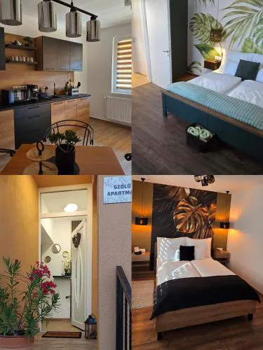 Szőlő Apartman
