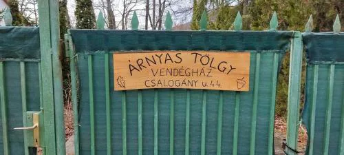 Árnyas Tölgy