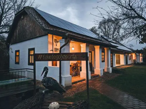 Kicsi Gólya 1