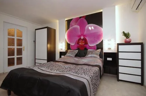 Regina Delux Apartman