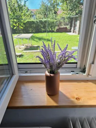 Soproniutas EDINApartman