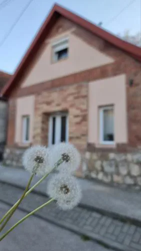 Pitypang Vendégház Dorog