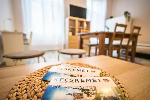 Entire Spacious Apartment in Central Kecskemét