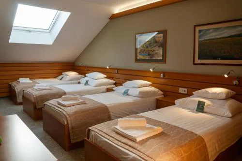 Hotel Club Tisza