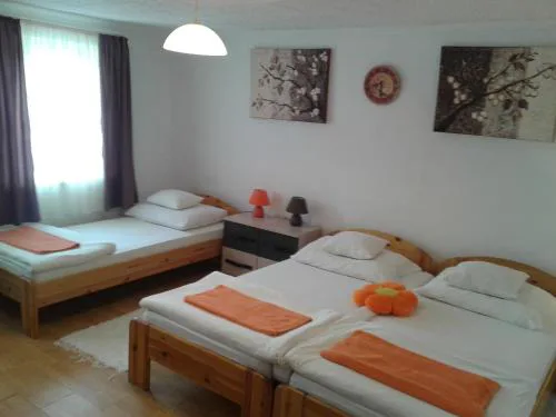 100 ÉVES NOSZTALGIA APARTMAN