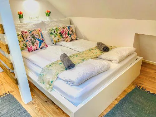 Magenta Apartman