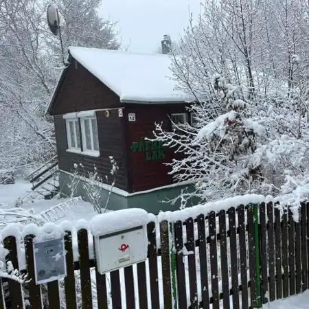 Páfrány - Lak