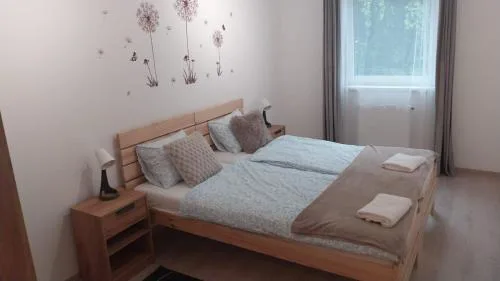 125 Family Apartment 1 near by Heroes Square with free garage