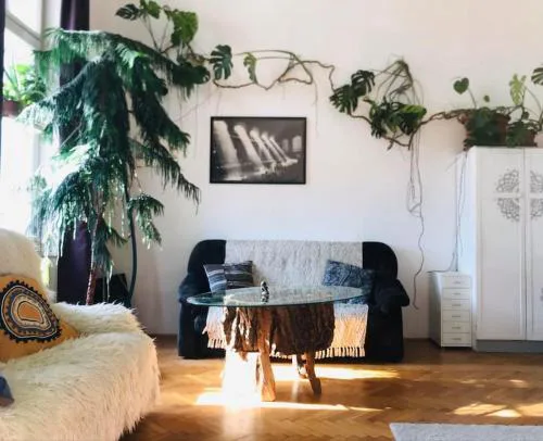 A Selva urbana