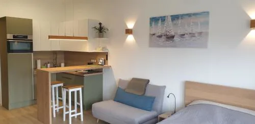 ALLEE APARTMENT (newly renovated spring 2023)