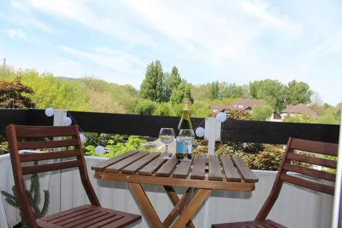 Apartment next to the Danube river