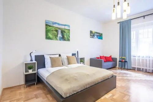 Central Large and Comfy Apartment