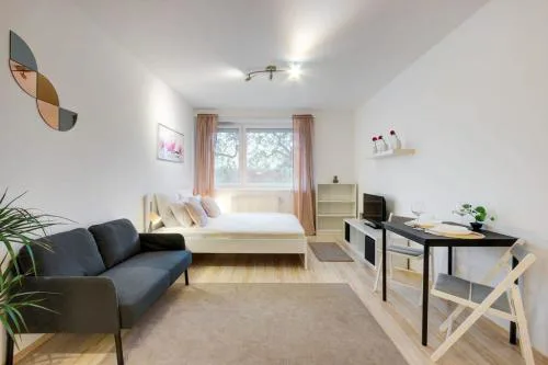 Comfy Studio in Town