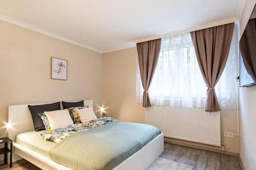 Cozy - New - Modern