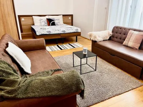 Ground floor apartments in the centre of the city