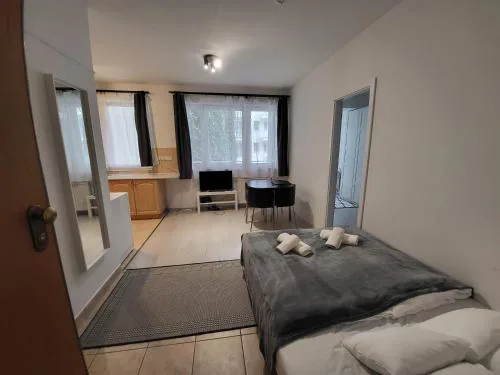 HI Downtown Apartment A308