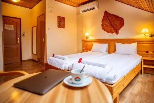 Hotel Manzard Panzio