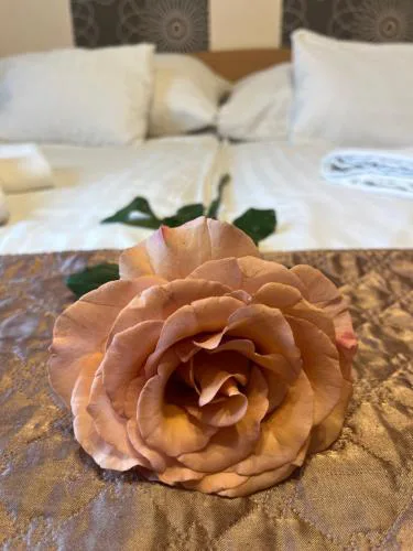 Hotel Rose City