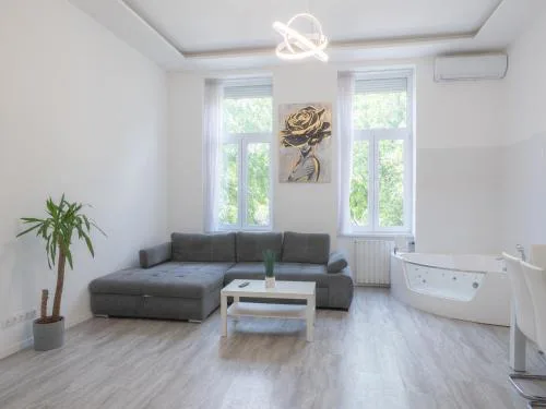 Luxury apartment in the central