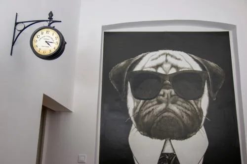 Mops Bob Apartment