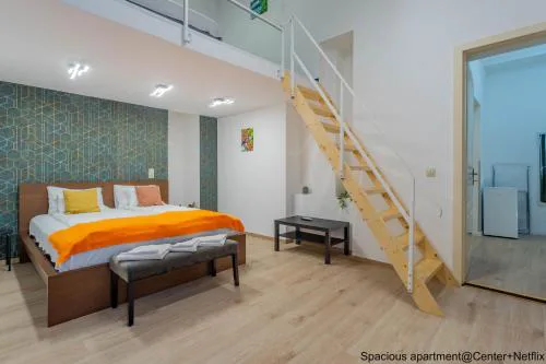 Spacious Stay Apartments