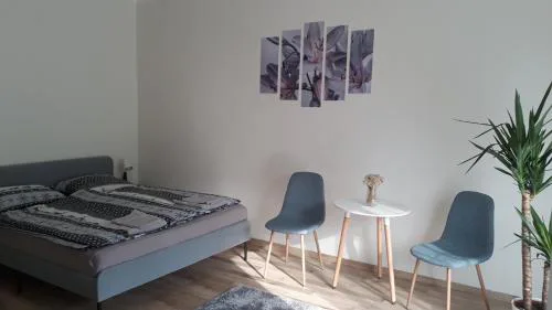 Világos, kellemes lakás, jó közlekedéssel