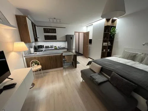 ViLeo50 Apartment