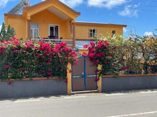 Hibiscus chez Arielle