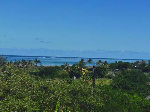 La Belle du Sud