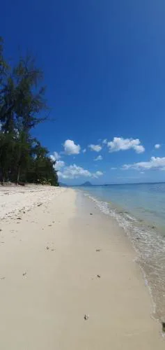 Coconut Bay Apartments