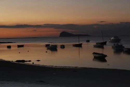 Whynot Mauritius