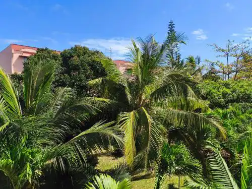 R Garden Fleury Sur Mer Trou aux Biches