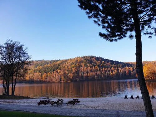 Złoty Potok Resort OFERTA LATO 2026 Domki nad Jeziorem Złotnickim Prywatna Plaża Camping Pokoje tuż przy Lesie oraz Restauracja