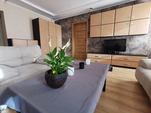 Apartament Cieplicki