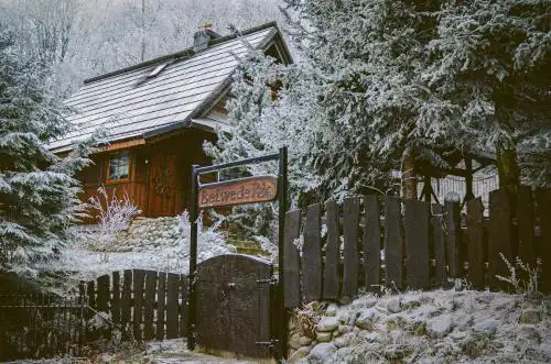 Domek Góralski Belwederek ski-in ski-out z prywatną sauną