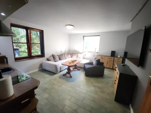Wilcza Poręba Apartament