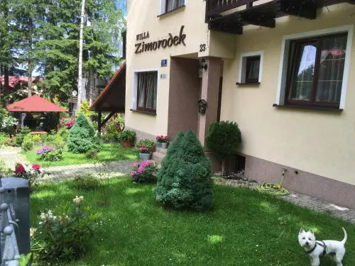 Zimorodek w sercu Karkonoszy SUPERIOR z BALKONEM Szum lasu i strumyka Szlaki Aquapark