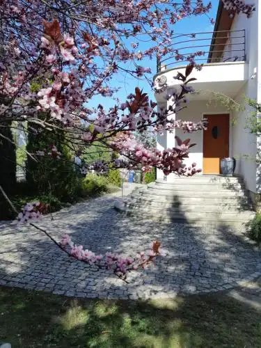 Marel-Apartamenty w Parku- Rydz Polanica Zdrój