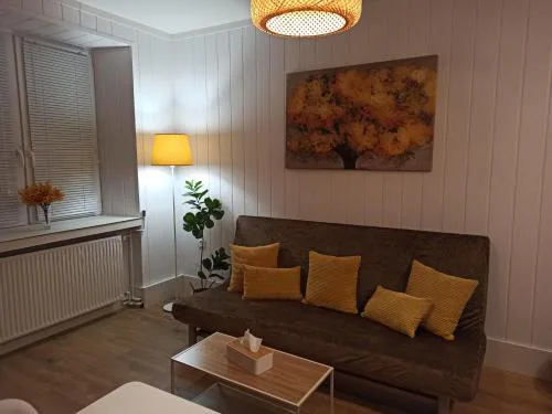 Słoneczny apartament z prywatną sauną w Stroniu Śląskim