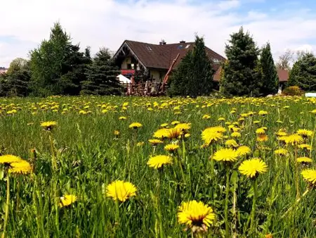 Tajemniczy Ogród Szczytna - Bed & Breakfast
