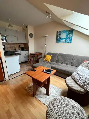Apartament przy Szlakach