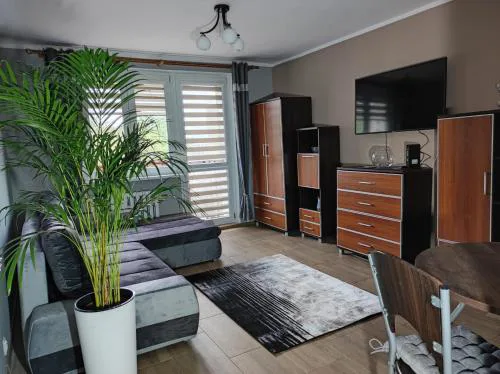 Apartament Raven