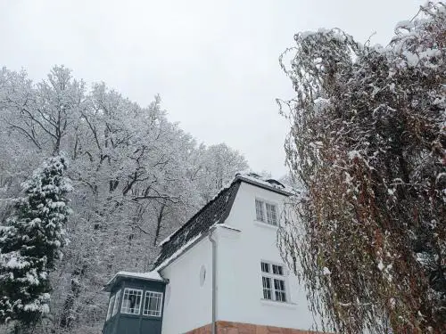 Dom pod Agatową Skałą we Wleniu