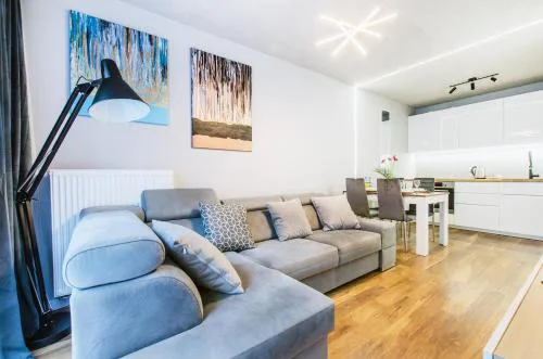 Brown Deluxe Apartment