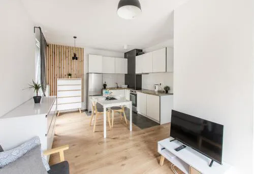 White Apartment With Terrace